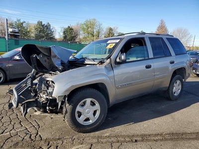 1GNDT13S622****** 2002 Chevrolet Trailblazer