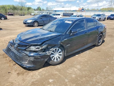 4T1B31HK9KU****** 2019 Toyota Camry Hybrid