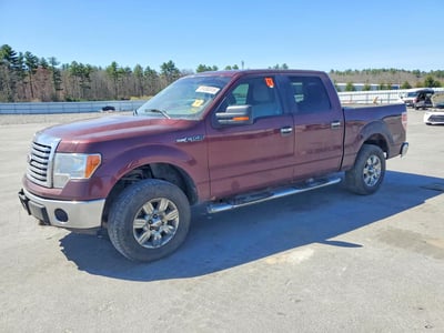 1FTEW1E85AF****** 2010 Ford F-150