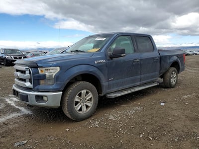 1FTFW1EG8HF****** 2017 Ford F-150