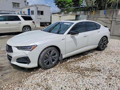 19UUB5F56MA****** 2021 Acura TLX