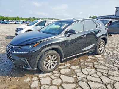 JTJYARBZ1K2****** 2019 Lexus NX