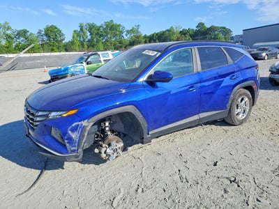 5NMJB3DE6RH****** 2024 Hyundai Tucson