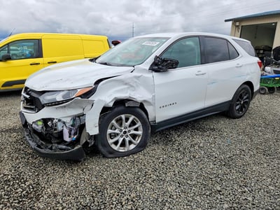 2GNAXKEV4K6****** 2019 Chevrolet Equinox