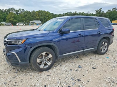 5FNYG2H42RB****** 2024 Honda Pilot