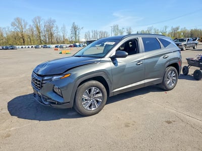 KM8JBCA15PU****** 2023 Hyundai Tucson