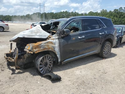 KM8R7DGE8RU****** 2024 Hyundai Palisade