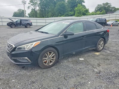 5NPE24AF3FH****** 2015 Hyundai Sonata