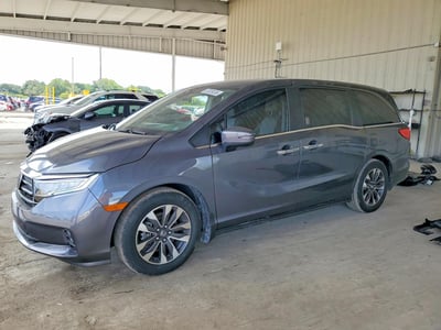5FNRL6H6XRB****** 2024 Honda Odyssey
