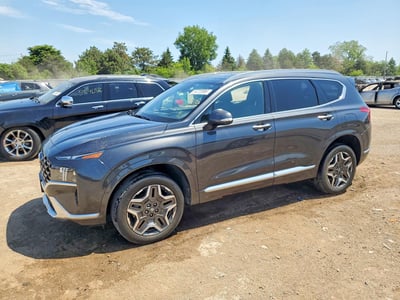 5NMS5DAL3MH****** 2021 Hyundai Santa Fe