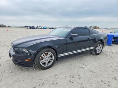 1ZVBP8AM8D5****** 2013 Ford Mustang
