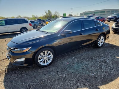1G1ZD5ST3KF****** 2019 Chevrolet Malibu