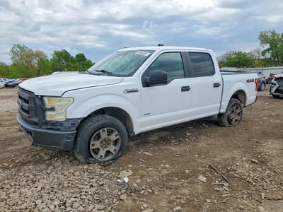 1FTEW1EG7FK****** 2015 Ford F-150