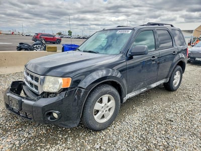 2010 Ford Escape