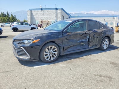 4T1C11AK6PU****** 2023 Toyota Camry