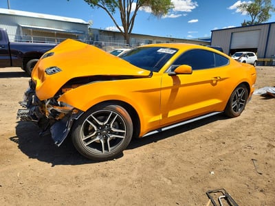 1FA6P8TH6K5****** 2019 Ford Mustang