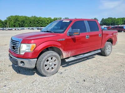 1FTFW1EV8AF****** 2010 Ford F-150