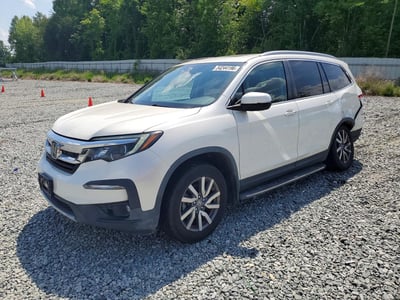 5FNYF5H50KB****** 2019 Honda Pilot