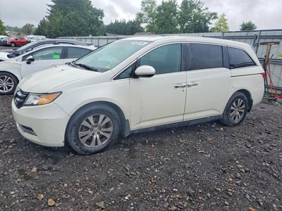 5FNRL5H66GB****** 2016 Honda Odyssey