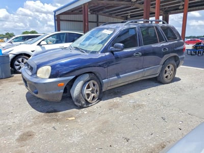 KM8SC13E44U****** 2004 Hyundai Santa Fe