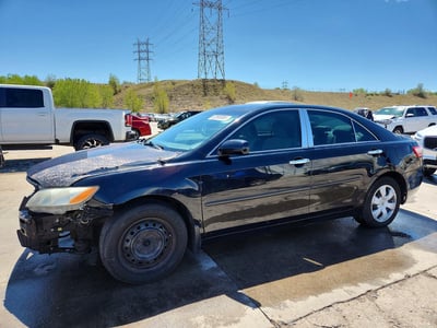 4T1BE46K79U****** 2009 Toyota Camry