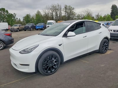 5YJYGAEE0MF****** 2021 Tesla Model Y