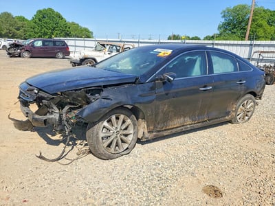 5NPE34AF2GH****** 2016 Hyundai Sonata