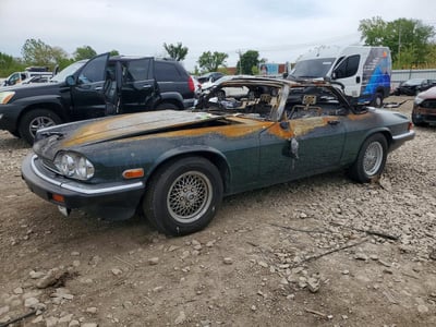 SAJTW4843MC****** 1991 Jaguar XJS
