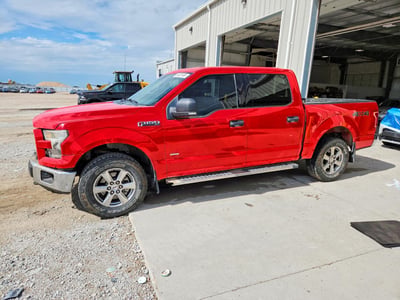 1FTEW1EPXFK****** 2015 Ford F-150
