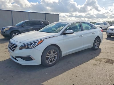 5NPE24AF6HH****** 2017 Hyundai Sonata