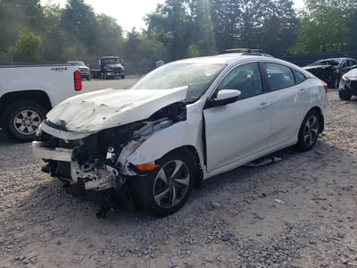 2HGFC2F67KH****** 2019 Honda Civic