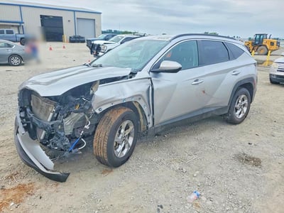 5NMJBCDE3RH****** 2024 Hyundai Tucson