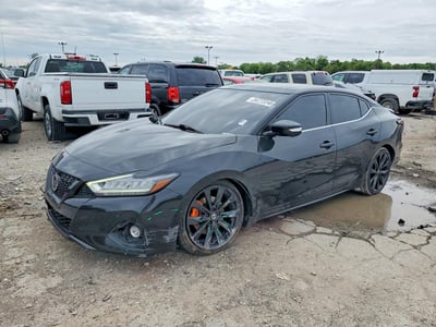 1N4AA6EV3MC****** 2021 Nissan Maxima