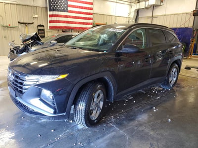 5NMJBCDEXRH****** 2024 Hyundai Tucson