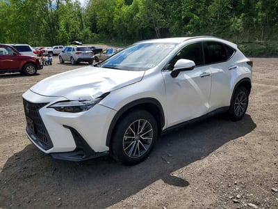 2023 Lexus NX