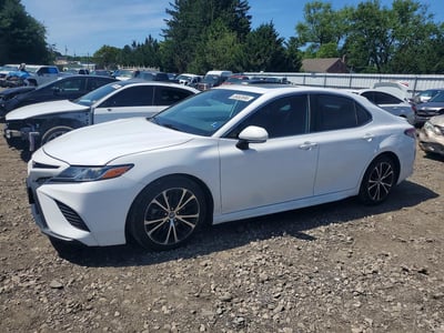 4T1B11HK6KU****** 2019 Toyota Camry