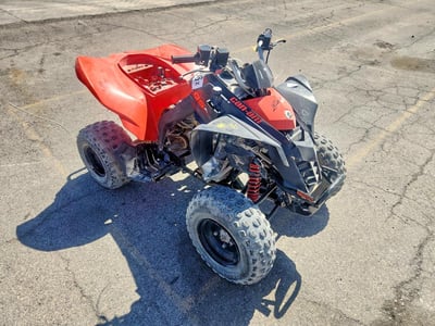 RFGUB2511NS****** 2022 Can-Am ATV DS 250-4ST 250 RD 22