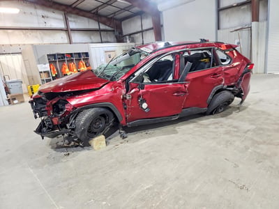 2T3G1RFV3KC****** 2019 Toyota RAV4