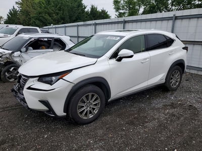 2019 Lexus NX