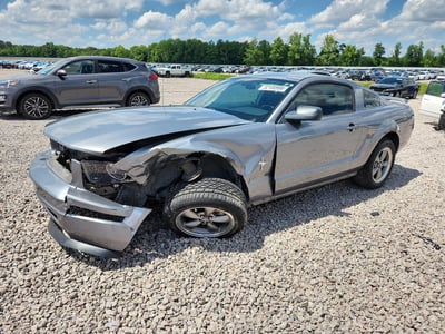 1ZVHT80N365****** 2006 Ford Mustang