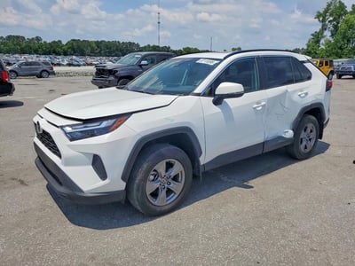 4T3RWRFV6RU****** 2024 Toyota RAV4