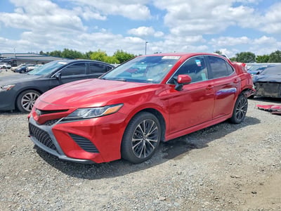 4T1B11HK6KU****** 2019 Toyota Camry