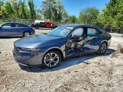 1HGCY1F37RA****** 2024 Honda Accord