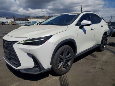 JTJHKCFZXR2****** 2024 Lexus NX