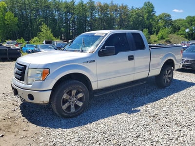 1FTRX14W79F****** 2009 Ford F-150