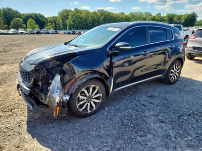 KNDPN3AC3K7****** 2019 Kia Sportage