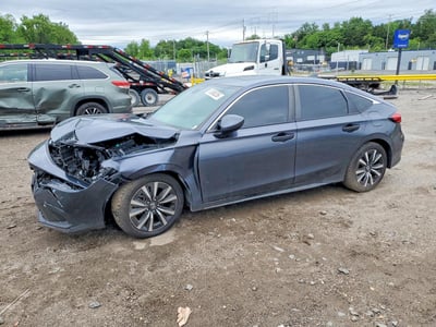 19XFL1H73RE****** 2024 Honda Civic