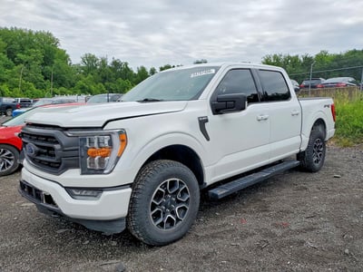 1FTEW1EP9PF****** 2023 Ford F-150