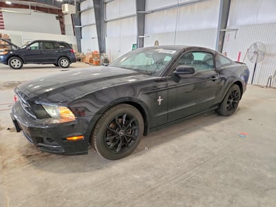 1ZVBP8AM0D5****** 2013 Ford Mustang