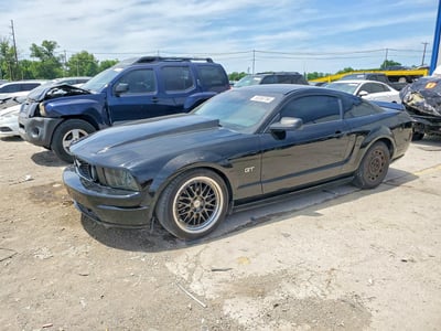 1ZVHT82H655****** 2005 Ford Mustang
